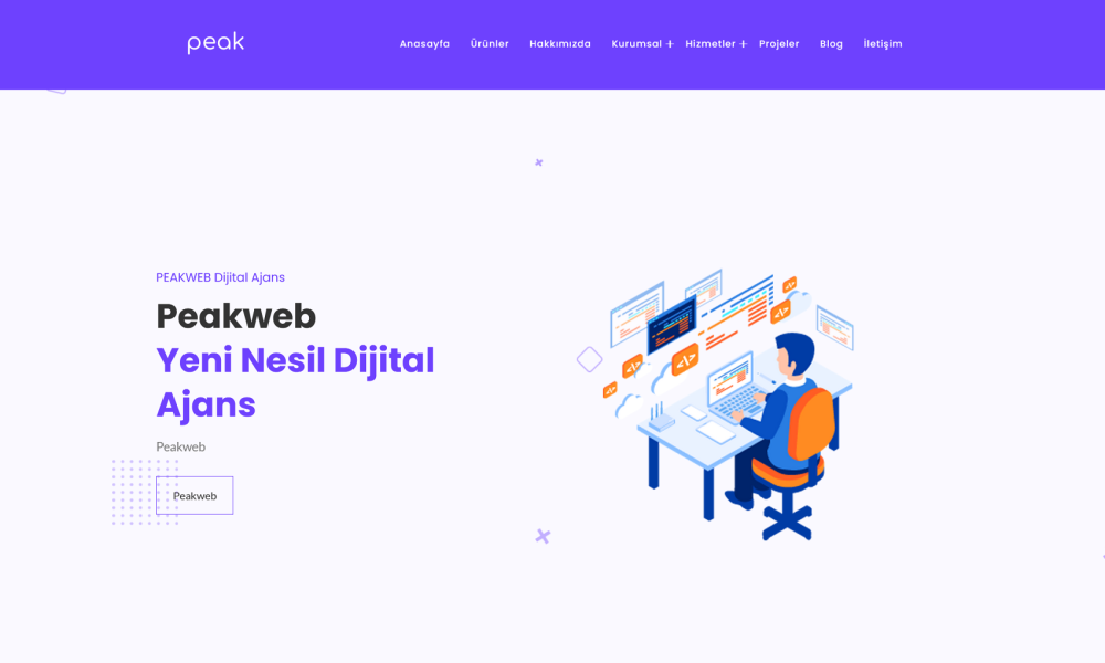 Kurumsal Web Yazılımı 